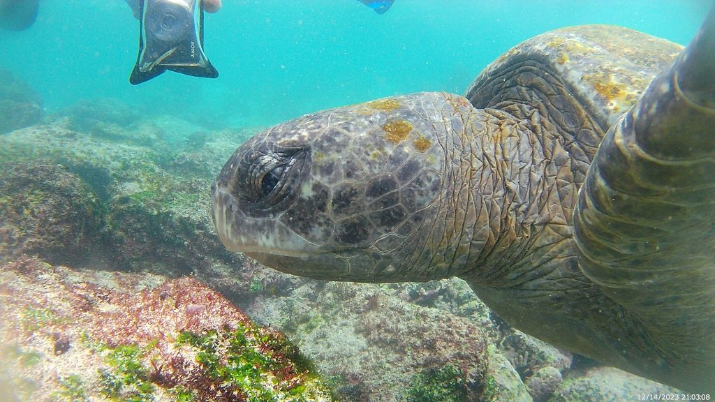 d4681763-1b6d-4f6f-bbb6-1fb3077b47e0