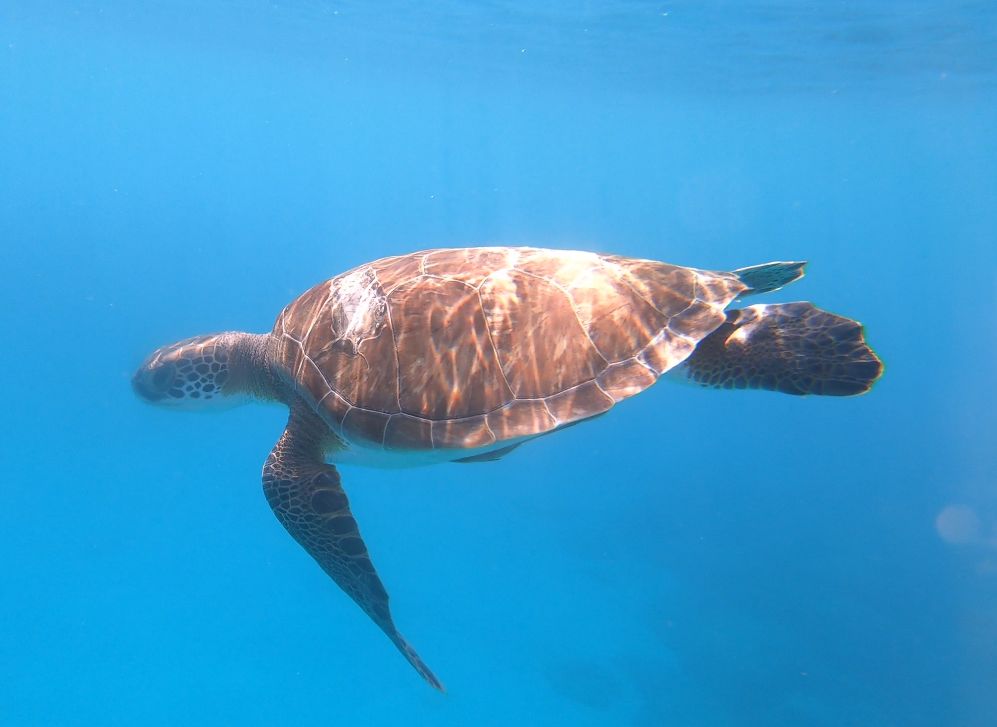 c568f658-0cb4-45b4-bddf-cd800d065cd4