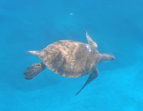 c568f658-0cb4-45b4-bddf-cd800d065cd4