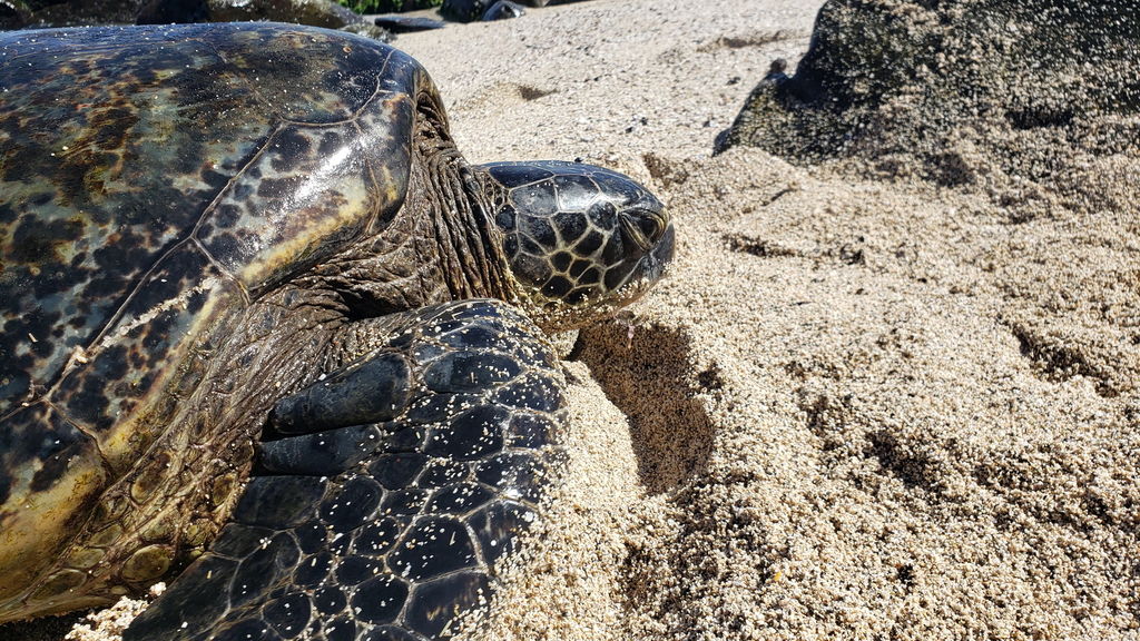 e0dcf2e7-5bd6-488a-9d6b-8feb9e55377d