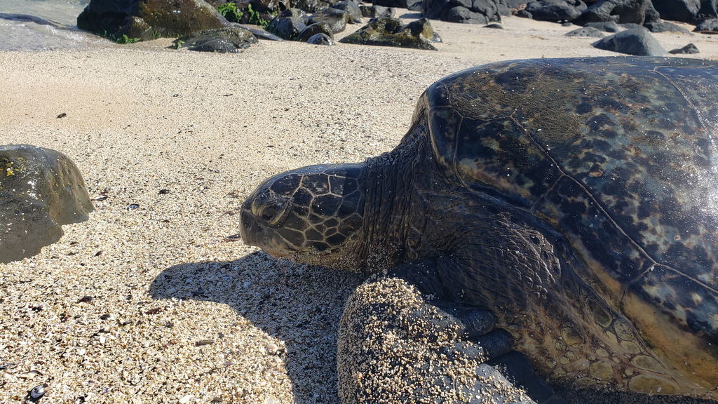 e0dcf2e7-5bd6-488a-9d6b-8feb9e55377d