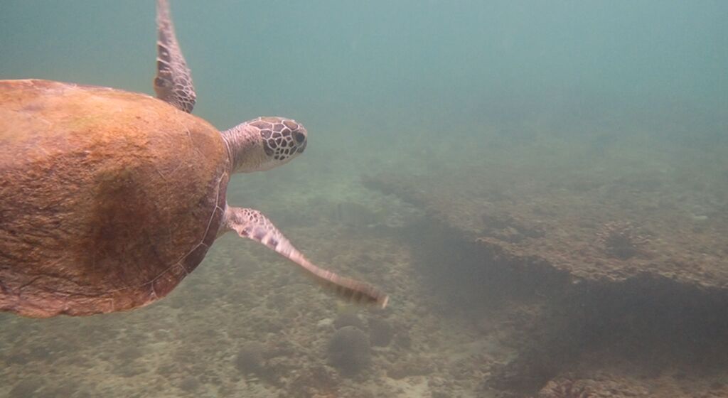 316a40d1-1962-4e73-a320-4cbc28fbe416