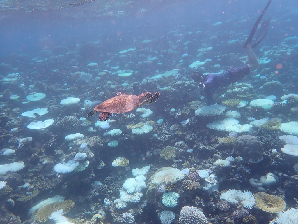 b4a3a5f2-0f1c-4900-a2e4-84628932ac9f