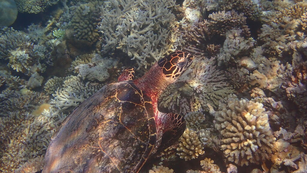 9c8dec87-d795-450f-86a4-3bc08c29c46a