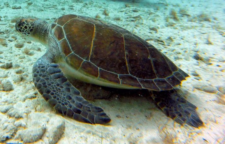 1c41368f-be56-4096-8157-4a0bf3967d55