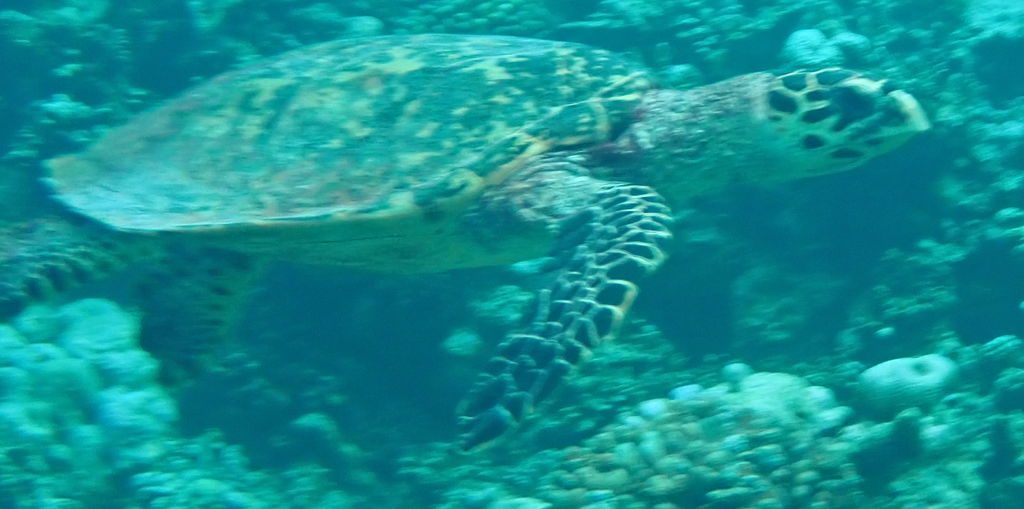 f361ff26-1e66-4c82-86e7-43d29ae699db