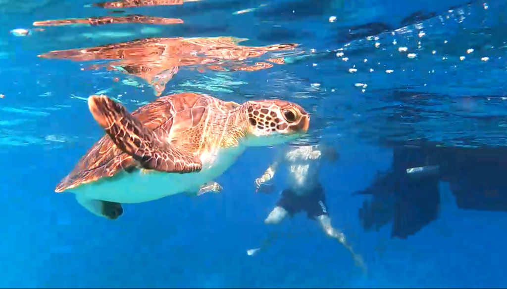 1038da46-3935-4b87-81ab-f10df8d1530c