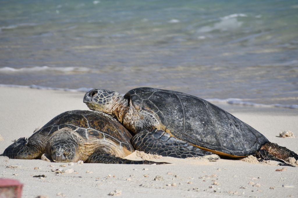 c1aa6a9c-fada-4ebf-aadb-5f4f3101cd14