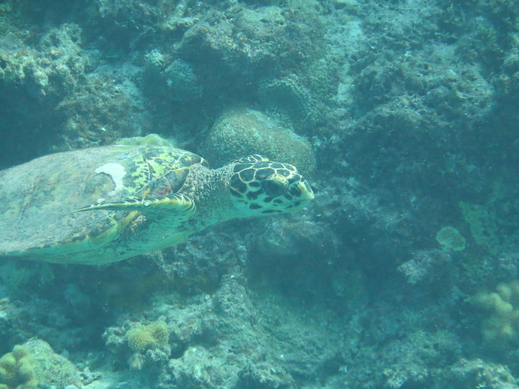 11bdd359-c0a6-4ca4-8f73-a8f4c2946d57