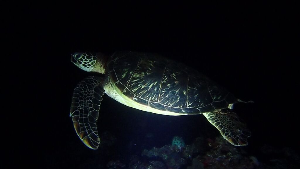 4cd0b2ea-f202-41a8-baa8-fec97f99e02b