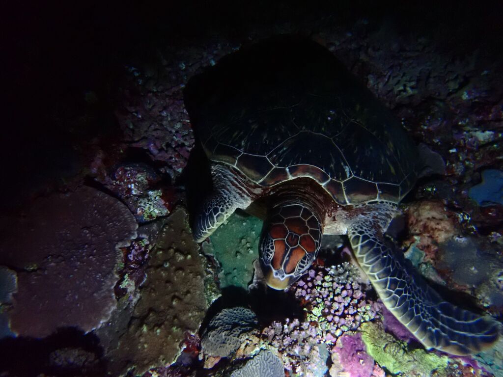 4cd0b2ea-f202-41a8-baa8-fec97f99e02b