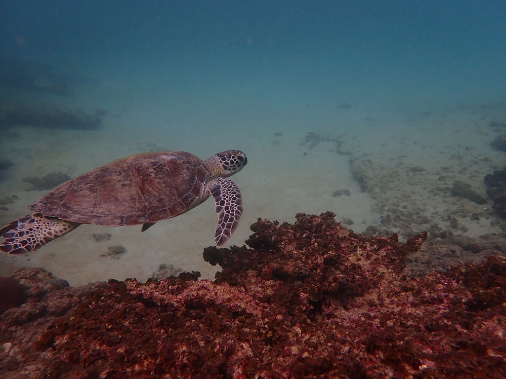 8706d23f-6b63-4192-8a6b-d9624c9e495d