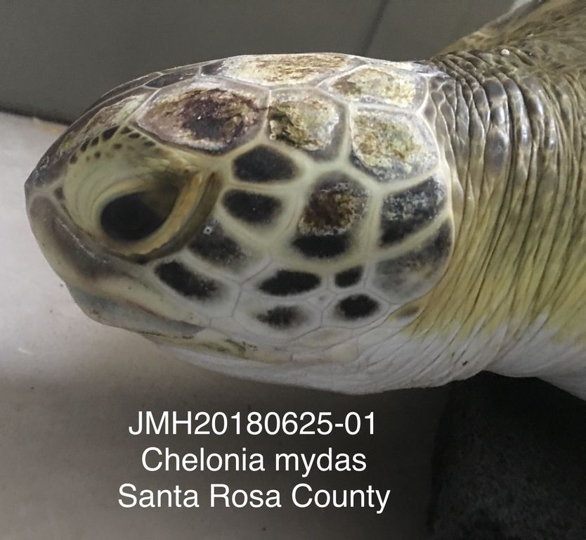 7ebf4357-517d-493d-8a9d-ed39a0365e18