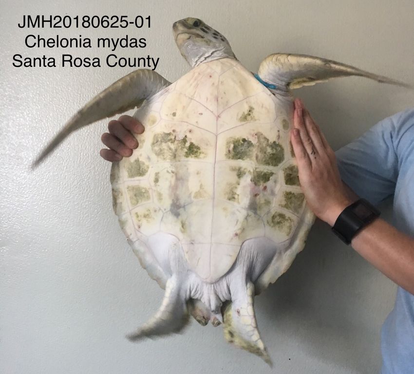 7ebf4357-517d-493d-8a9d-ed39a0365e18