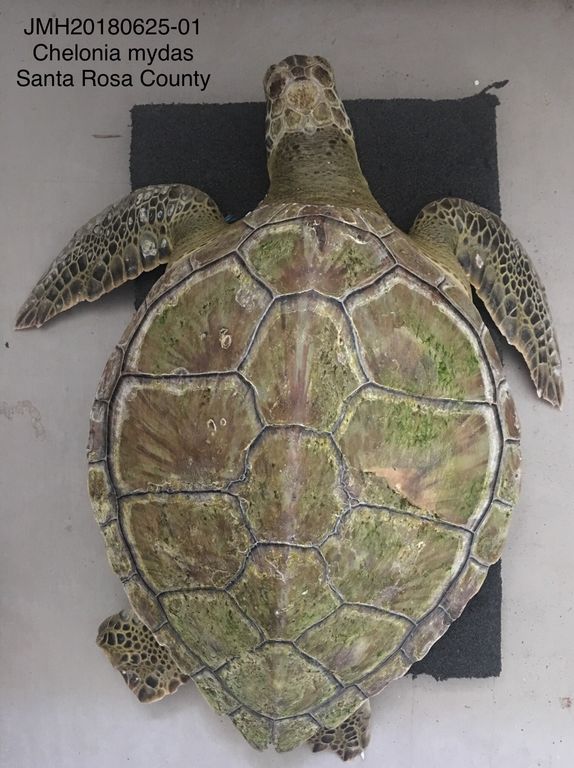 7ebf4357-517d-493d-8a9d-ed39a0365e18