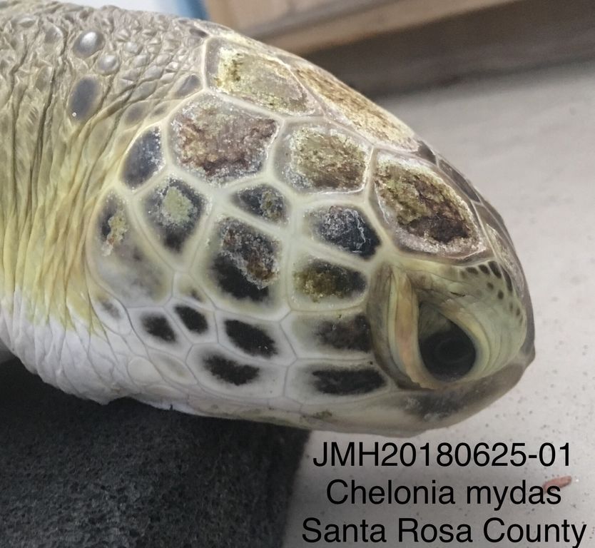 7ebf4357-517d-493d-8a9d-ed39a0365e18