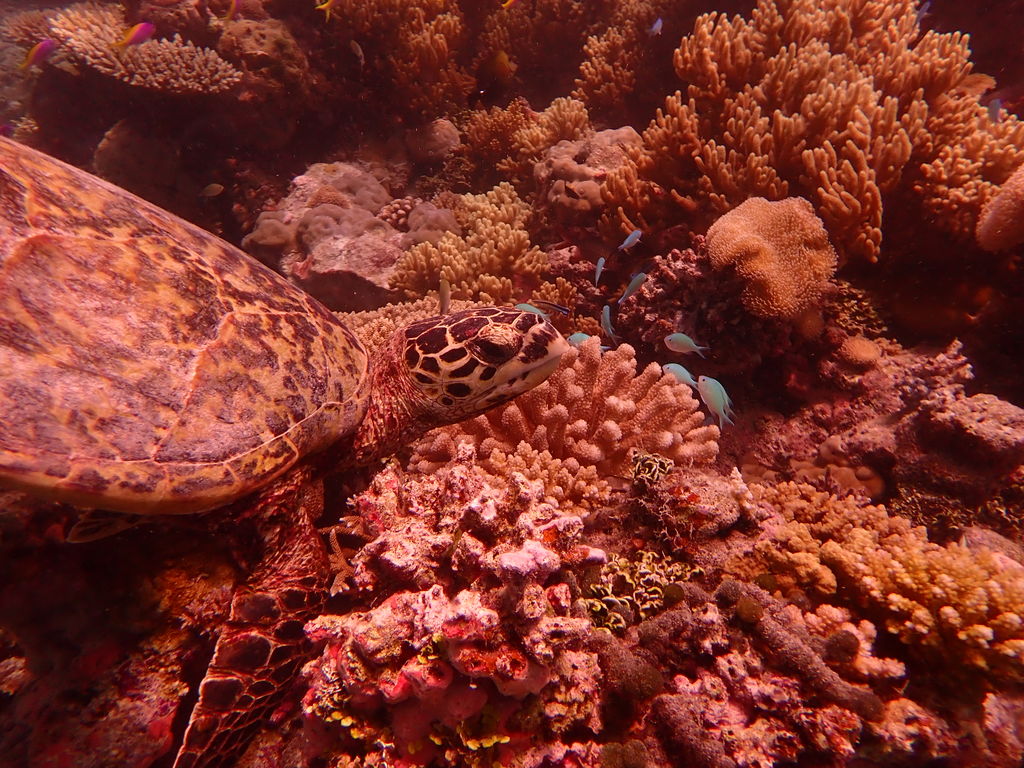 969959da-a6bb-4b90-a7b9-464c8cbcaece