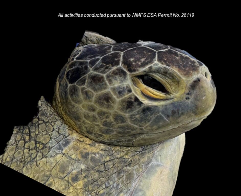 136c01c9-4f4d-4755-bec9-c916c3635a19