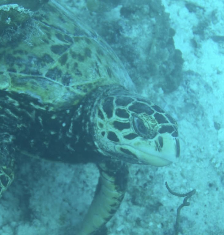 e4829035-9ff4-4e16-8980-c987c3f7a1a8