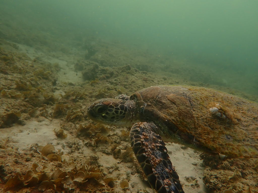 734dcc77-1a6a-46e7-ae62-c5dc8fd20997