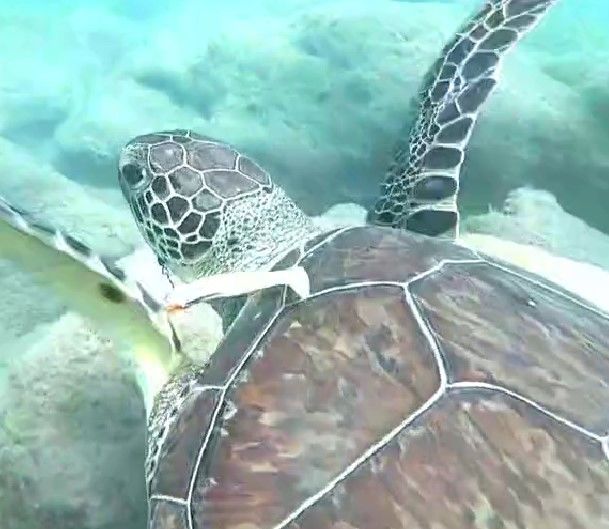 33e9a2c3-83ef-4a2a-96ab-e6c8a33bdad1