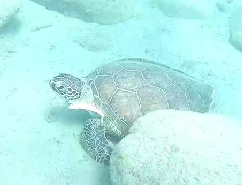 33e9a2c3-83ef-4a2a-96ab-e6c8a33bdad1