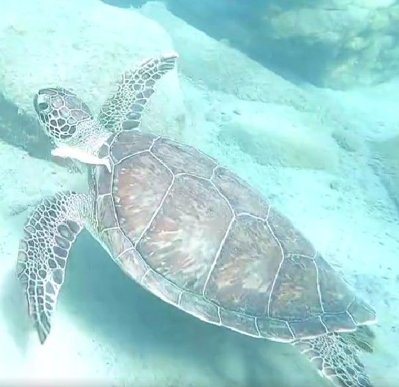 33e9a2c3-83ef-4a2a-96ab-e6c8a33bdad1