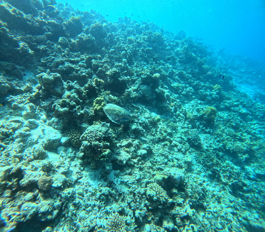 7d1a3be9-3338-45ec-8fe1-454888dd0af7