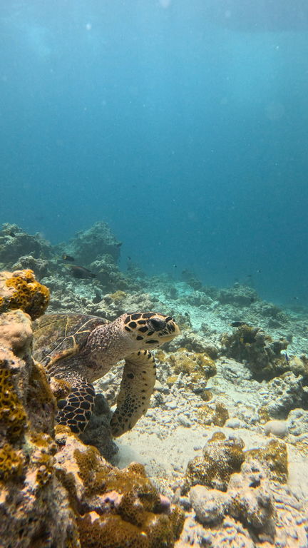 0c0cfeba-133a-48e8-b8c2-1470f8c70053