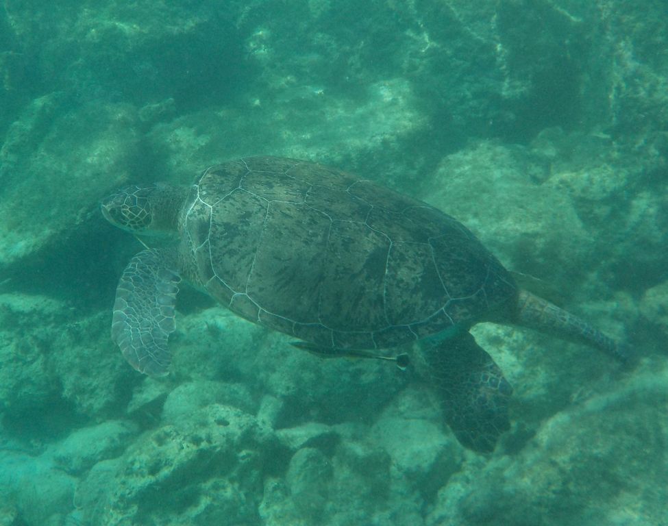 cea650fa-1040-4430-8cf3-262cf43ecffc