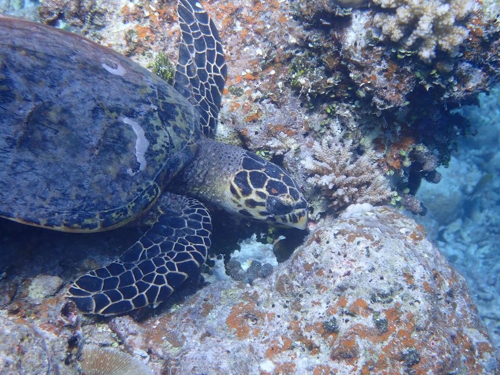 11bdd359-c0a6-4ca4-8f73-a8f4c2946d57