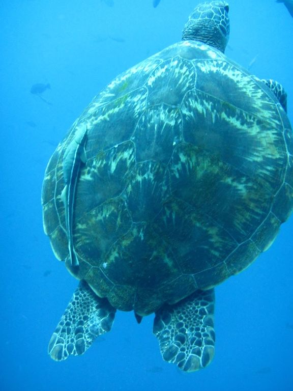 0e22ec1a-7013-4ced-a080-ac06a944f038