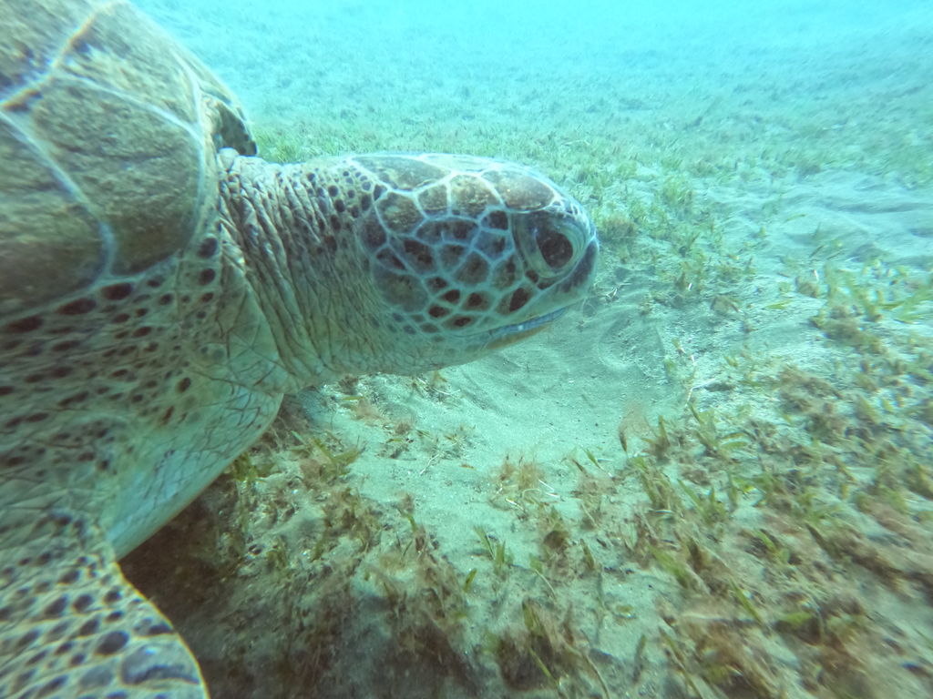 a5761297-d9e5-4d73-aa02-bd6b71730501