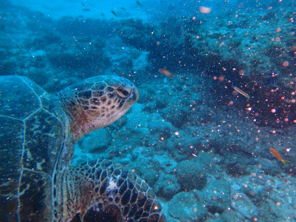 79135a1e-79ef-4a0e-adb2-9b32257f9725