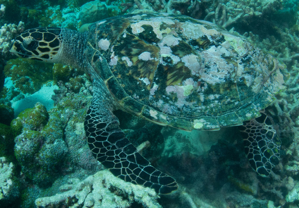 0c1ab25a-9931-4008-9b28-f398ab67b142