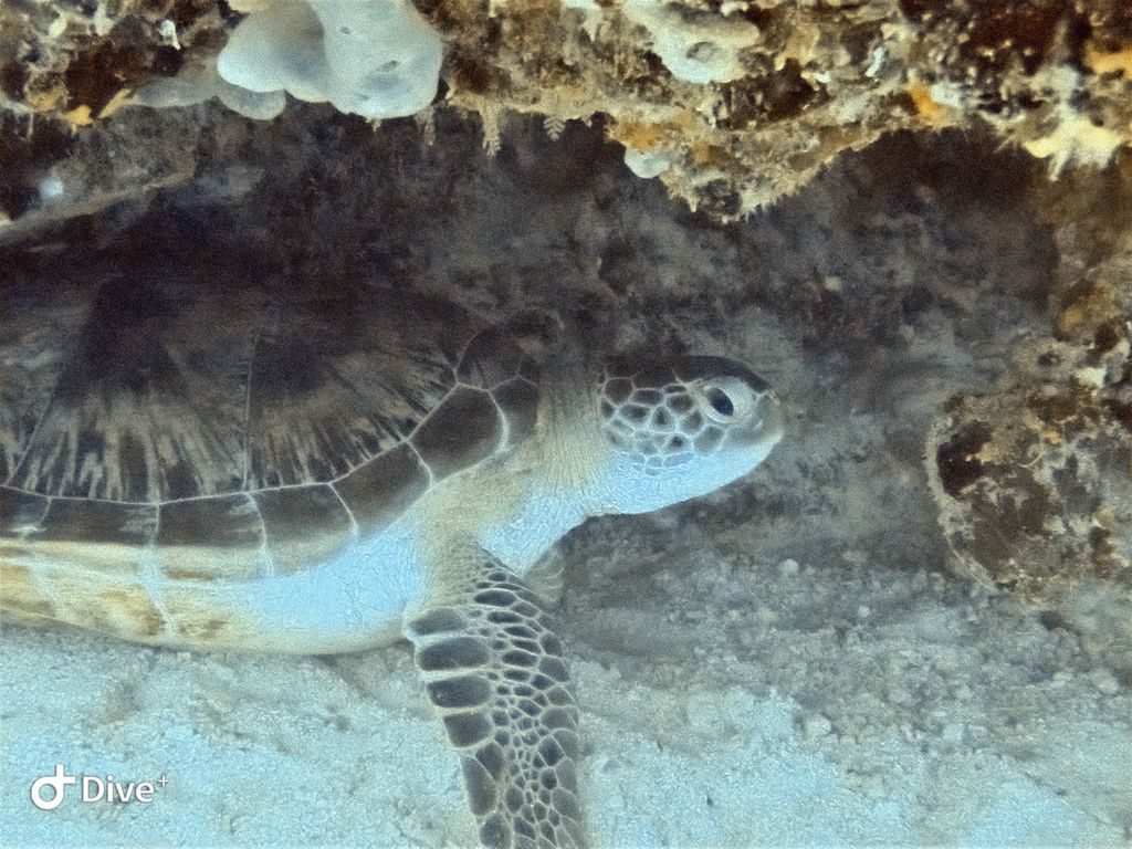 9e71f4d5-5933-440c-a2f1-5375f0e77789