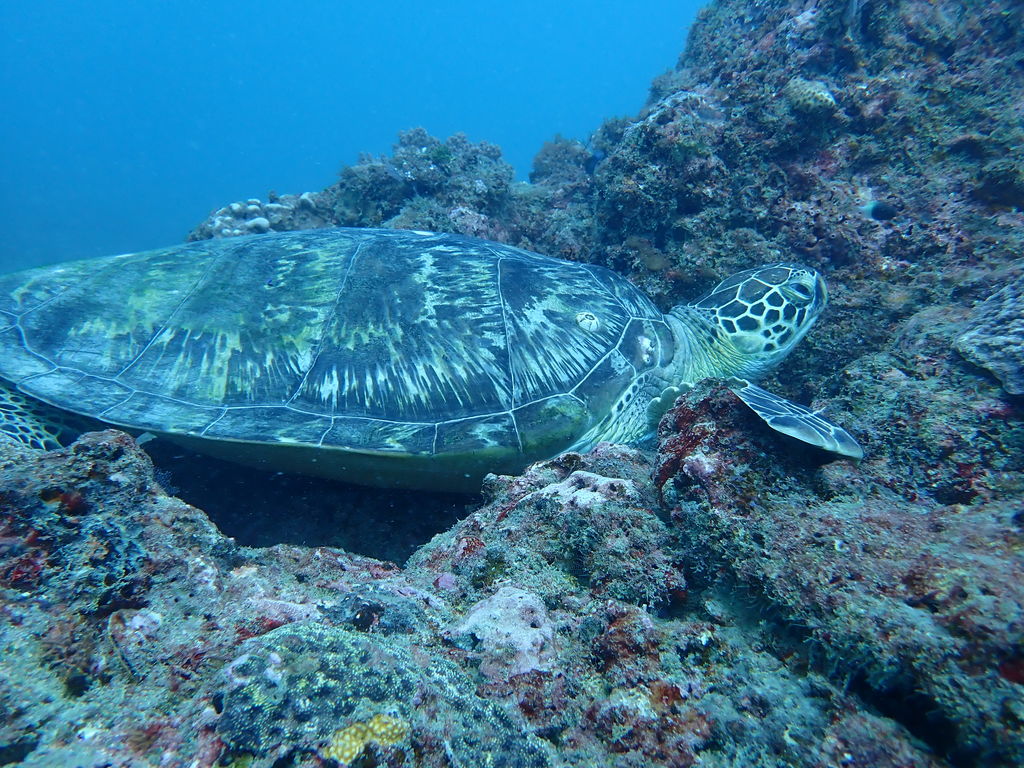 75159d35-dd42-4ad8-84d8-ea3ba67aa6f6