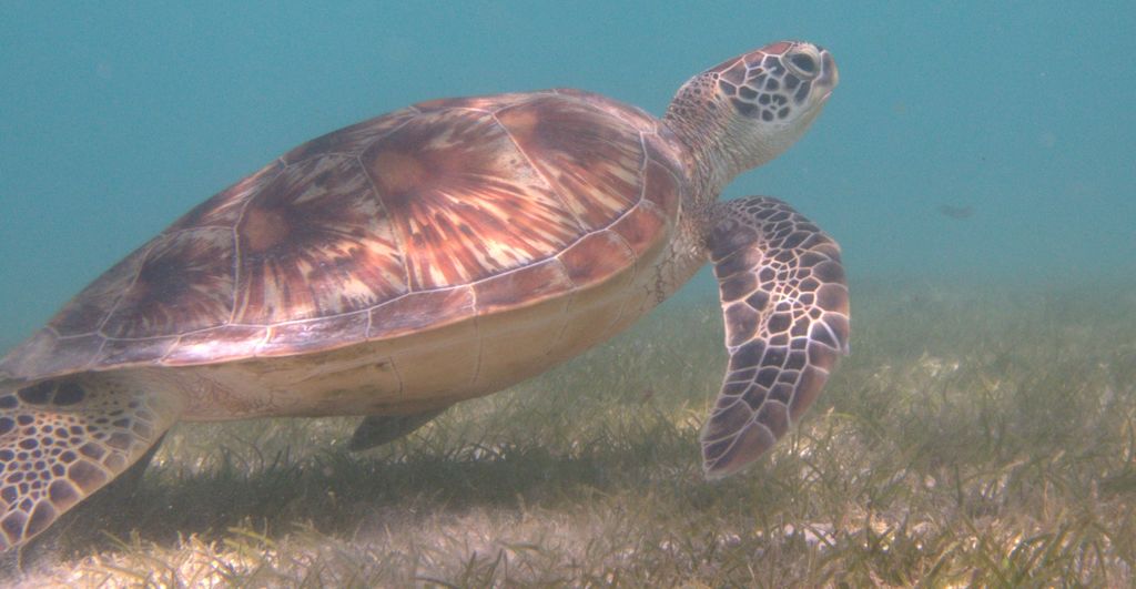 a984637d-4175-4674-810e-ac6e930ebe34