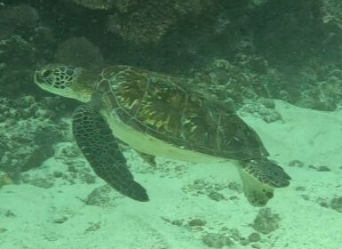 b78d916a-e817-4b39-a6a0-554247ac74dc