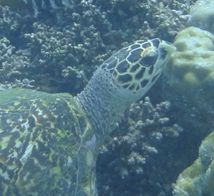 2e25001f-4b15-44b7-bdd9-992f20b87ff5