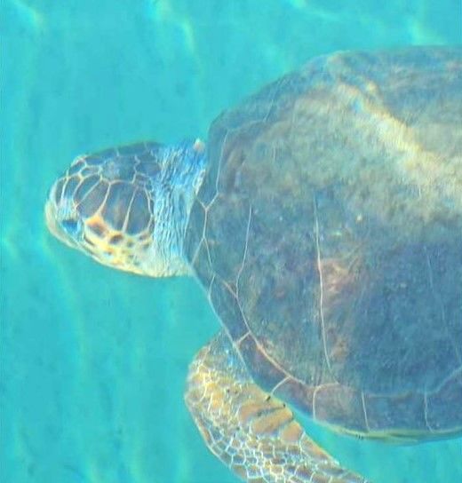 aa5e677f-45c5-4136-9fa1-92ea6a05a9be