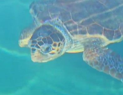 aa5e677f-45c5-4136-9fa1-92ea6a05a9be