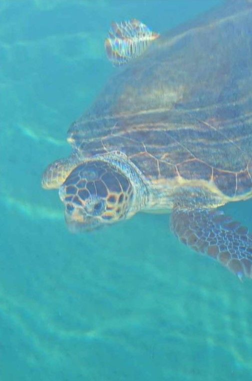 aa5e677f-45c5-4136-9fa1-92ea6a05a9be