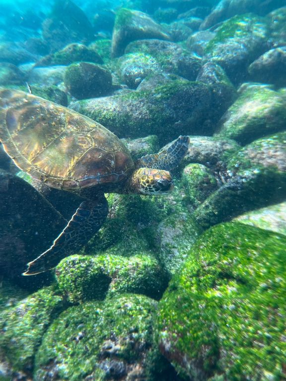 59376270-6b4f-42a3-94a1-75d96d8082b7