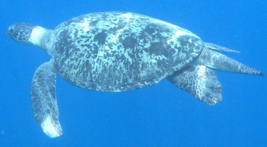 3cb84f18-fdaa-4b5e-b0a3-d73fdb41fda4