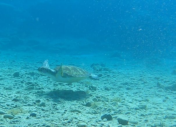 958251eb-5e89-4cb6-9c6f-18b10bdad950