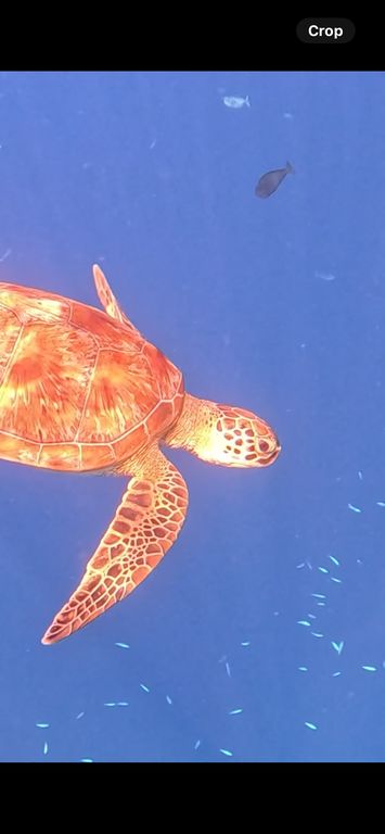 f24acb59-96ae-409c-a9df-b19b33b13eb8