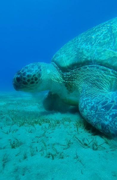 46e9aaf4-5ad1-4927-b019-d8ee006e609e