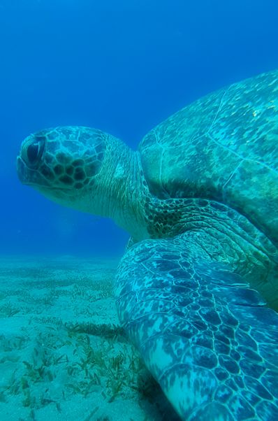 46e9aaf4-5ad1-4927-b019-d8ee006e609e