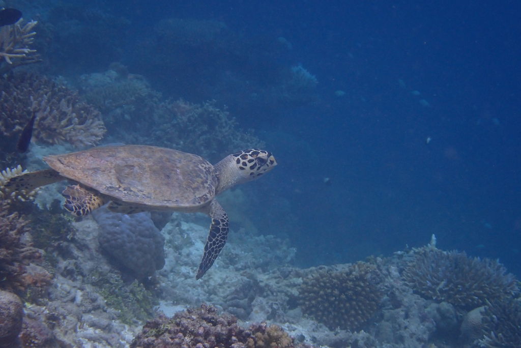 88ef67a1-c654-4632-a7e5-ec306695b4df